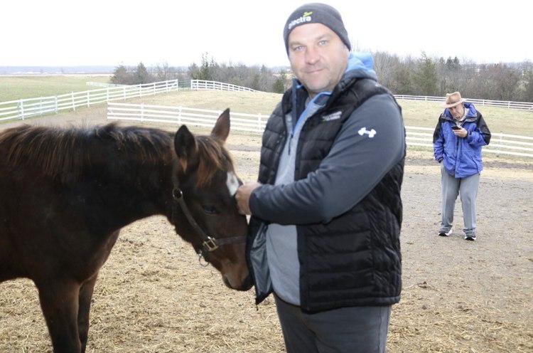 Matt Harris standing with a young horse in a paddock